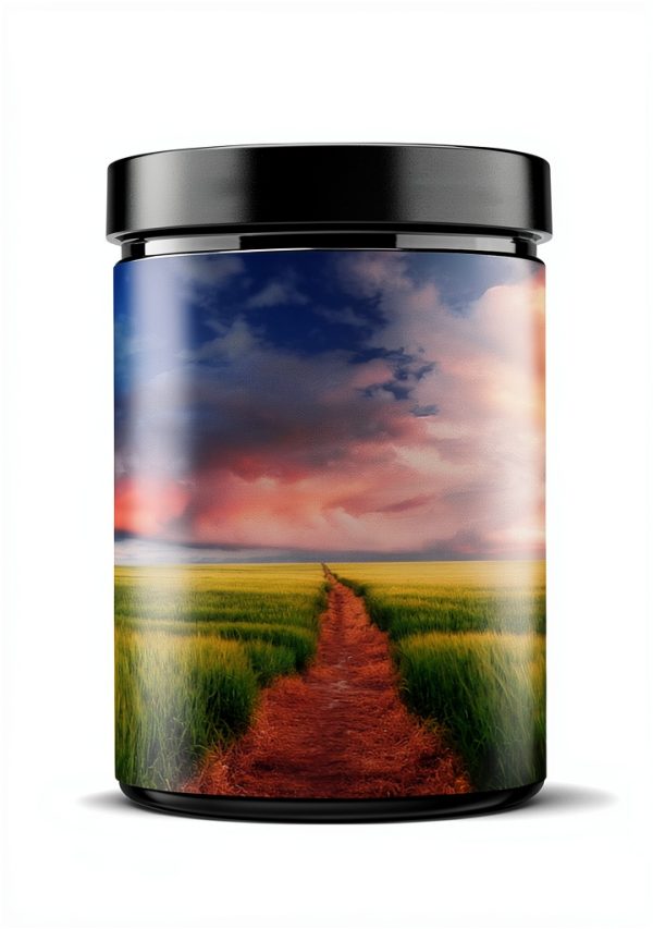 Contemporary Christian Music Kindle eBook Brand 240 Page Inspiration-0